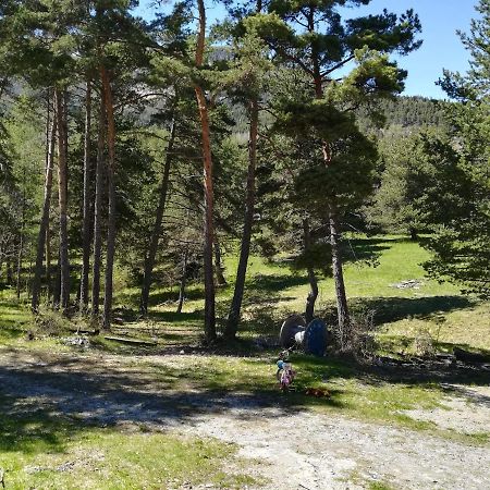 Les Pinees Hotel Chateauroux-les-Alpes Buitenkant foto