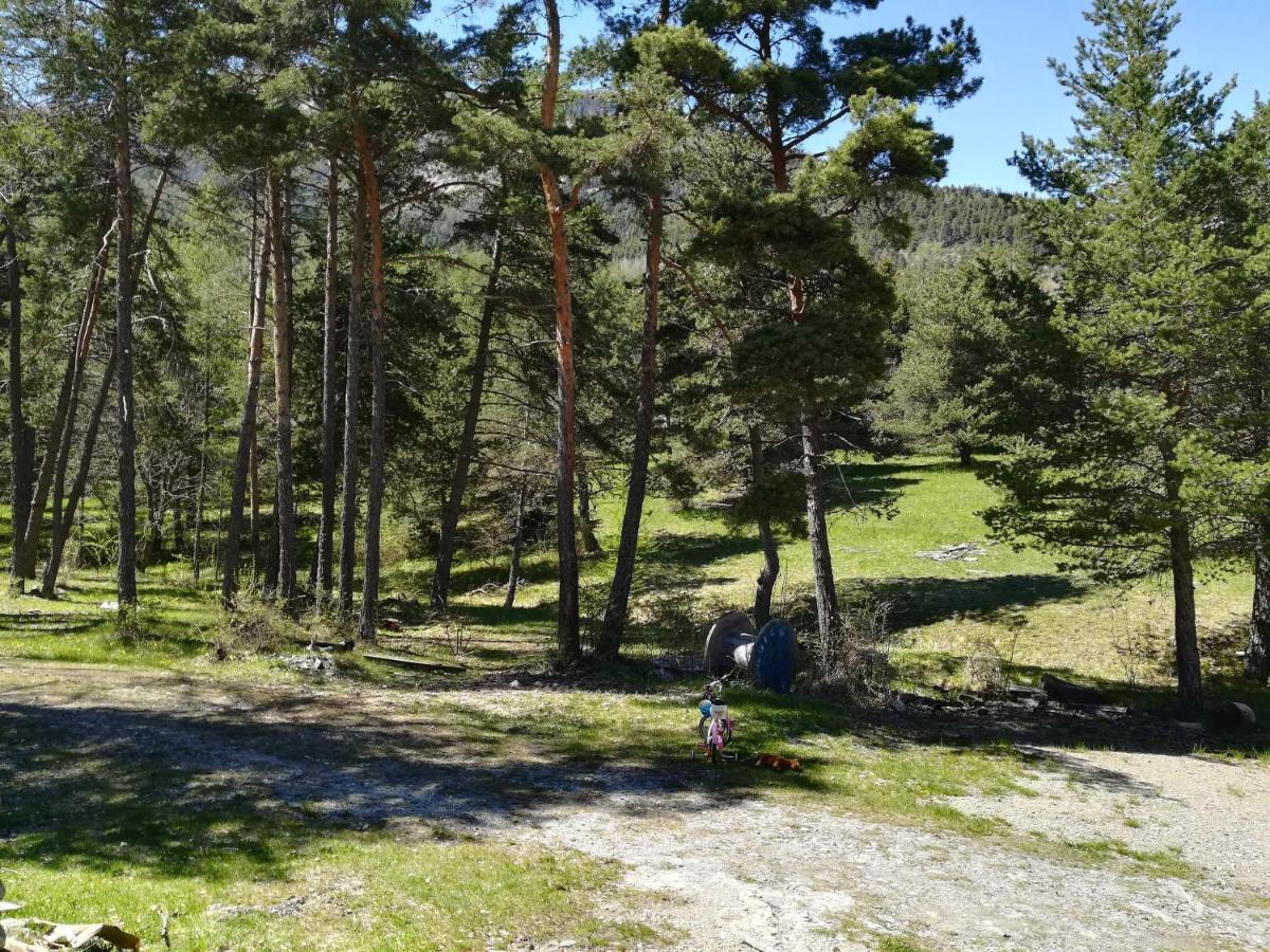 Les Pinees Hotel Chateauroux-les-Alpes Buitenkant foto